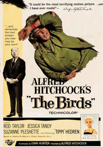  The Birds (1963)